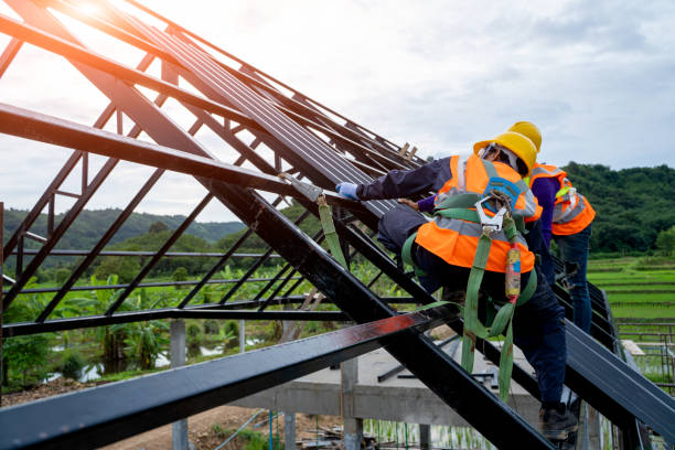 Roof Gutter Cleaning in North College Hill, OH